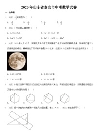 2023年山东省泰安市中考数学试卷【附答案】