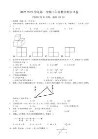 河南省新乡市封丘县金瀚学校2022-2023学年七年级上学期期末数学试题