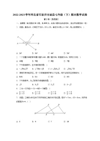 2022-2023学年河北省石家庄市赵县七年级（下）期末数学试卷（含解析）