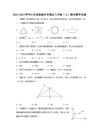 2022-2023学年江苏省盐城市亭湖区八年级（上）期末数学试卷（含解析）