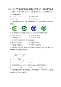 2022-2023学年山东省青岛市即墨区七年级（下）期末数学试卷（含解析）