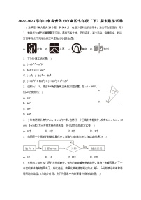 2022-2023学年山东省青岛市市南区七年级（下）期末数学试卷（含解析）