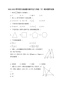 2022-2023学年四川省成都市青羊区八年级（下）期末数学试卷（含解析）