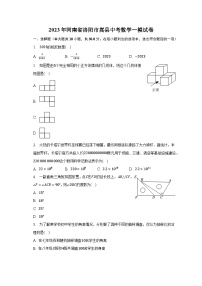 2023年河南省洛阳市嵩县中考数学一模试卷（含解析）