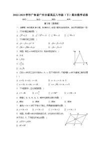 广东省广州市番禺区2022-2023学年八年级下学期期末考试数学试卷(含答案)