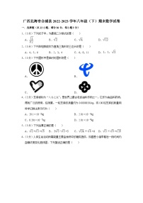 广西北海市合浦县2022-2023学年下学期八年级期末数学试卷（含答案）