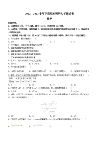 河南省周口市西华县2022-2023学年七年级下学期期末数学试题(含答案)