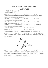 山东省菏泽市巨野县2022-2023学年七年级下学期期末数学试题（含答案）