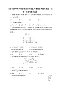 2022-2023学年广东省梅州市大埔县广德实验学校九年级（下）第一次段考数学试卷（含解析）