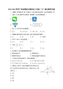 2022-2023学年广东省揭阳市揭东区八年级（下）期末数学试卷