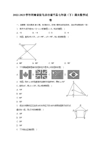 2022-2023学年河南省驻马店市遂平县七年级（下）期末数学试卷