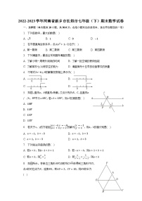 2022-2023学年河南省新乡市长垣市七年级（下）期末数学试卷