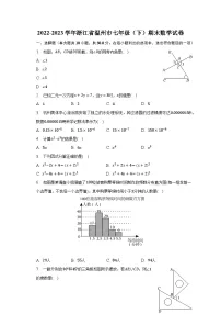 2022-2023学年浙江省温州市七年级(下)期末数学试卷(含解析)