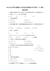 2022-2023学年安徽省六安市金安区皋城中学七年级（下）期末数学试卷（含解析）