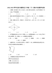 2022-2023学年北京市朝阳区八年级（下）期末考试数学试卷（含解析）