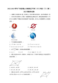 2022-2023学年广东省佛山市南海区平洲二中八年级（下）第二次月考数学试卷（含解析）