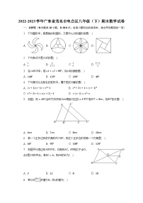 2022-2023学年广东省茂名市电白区八年级（下）期末数学试卷（含解析）