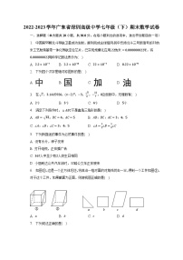 2022-2023学年广东省深圳高级中学七年级（下）期末数学试卷（含解析）