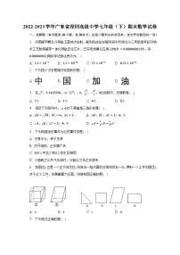 2022-2023学年广东省深圳高级中学七年级(下)期末数学试卷(含解析)