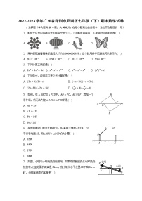 2022-2023学年广东省深圳市罗湖区七年级（下）期末数学试卷（含解析）