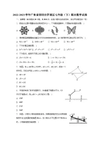 2022-2023学年广东省深圳市罗湖区七年级（下）期末数学试卷（含解析）