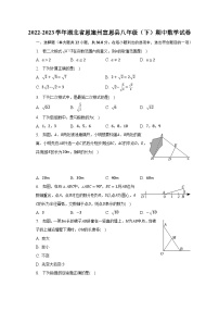 2022-2023学年湖北省恩施州宣恩县八年级（下）期中数学试卷（含解析）