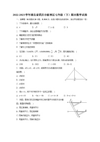 2022-2023学年湖北省武汉市新洲区七年级（下）期末数学试卷（含解析）