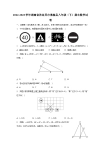 2022-2023学年湖南省张家界市桑植县八年级（下）期末数学试卷（含解析）