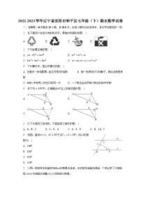 2022-2023学年辽宁省沈阳市和平区七年级（下）期末数学试卷（含解析）