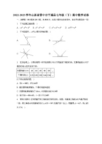 2022-2023学年山西省晋中市平遥县七年级（下）期中数学试卷（含解析）