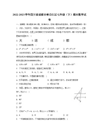 2022-2023学年四川省成都市青白江区七年级（下）期末数学试卷（含解析）