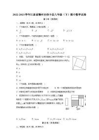 2022-2023学年江西省赣州市信丰县八年级（下）期中数学试卷（含解析）