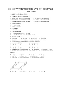 2022-2023学年河南省信阳市淮滨县七年级（下）期末数学试卷（含解析）