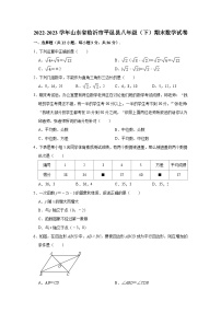 2022-2023学年山东省临沂市平邑县八年级（下）期末数学试卷(含解析)