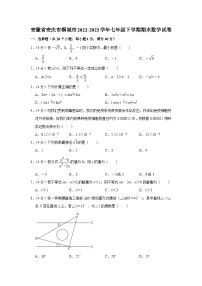 安徽省安庆市桐城市2022-2023学年七年级下学期期末数学试卷（解析版）