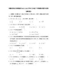 安徽省安庆市桐城市2022-2023学年七年级下学期期末数学试卷（含答案）