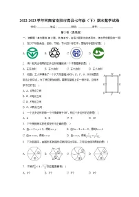 河南省洛阳市嵩县2022-2023学年七年级下学期期末数学试卷（含答案）