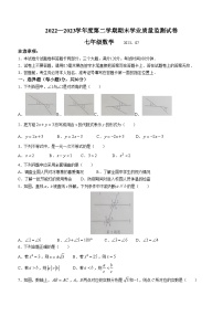 河南省商丘市梁园区2022-2023学年七年级下学期期末数学试题（含答案）