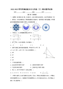 河南省新乡市2022-2023学年七年级下学期期末数学试题（含答案）