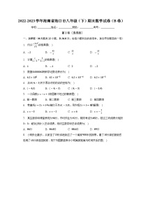 海南省海口市2022-2023学年下学期八年级期末数学试卷（B卷）（含答案）