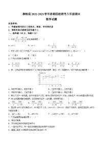 河南省南阳市桐柏县2022-2023学年八年级下学期期末数学试题（含答案）