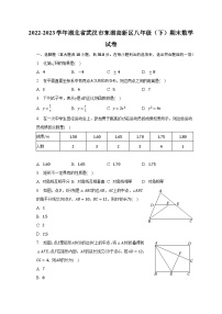 湖北省武汉市东湖高新区2022-2023学年八年级下学期期末数学试卷（含答案）