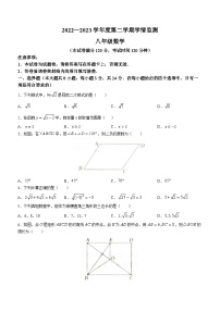 青海省海东市2022-2023学年八年级下学期期末数学试题（含答案）