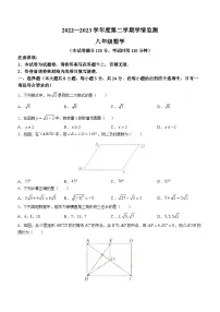 青海省海东市2022-2023学年八年级下学期期末数学试题（含答案）