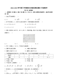 山东省临沂市兰陵县2022-2023学年八年级下学期期末数学试题（含答案）