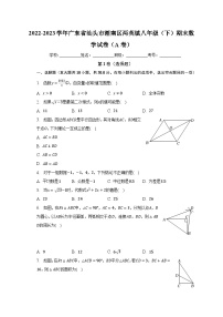 2022-2023学年广东省汕头市潮南区两英镇八年级（下）期末数学试卷（A卷）（含解析）