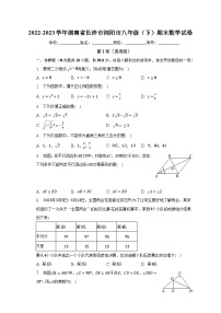 2022-2023学年湖南省长沙市浏阳市八年级（下）期末数学试卷（含解析）