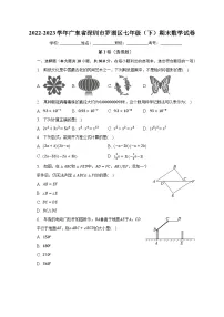 2022-2023学年广东省深圳市罗湖区七年级（下）期末数学试卷（含解析）