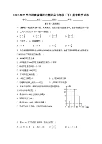 2022-2023学年河南省漯河市舞阳县七年级（下）期末数学试卷（含解析）