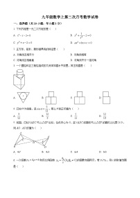 九年级上学期12月月考数学试题